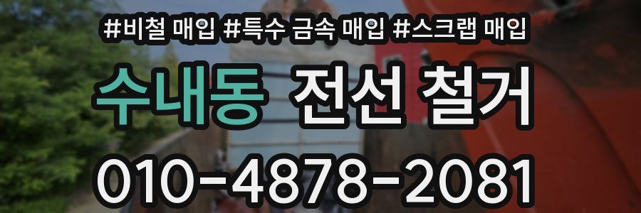 수내동 전선 철거