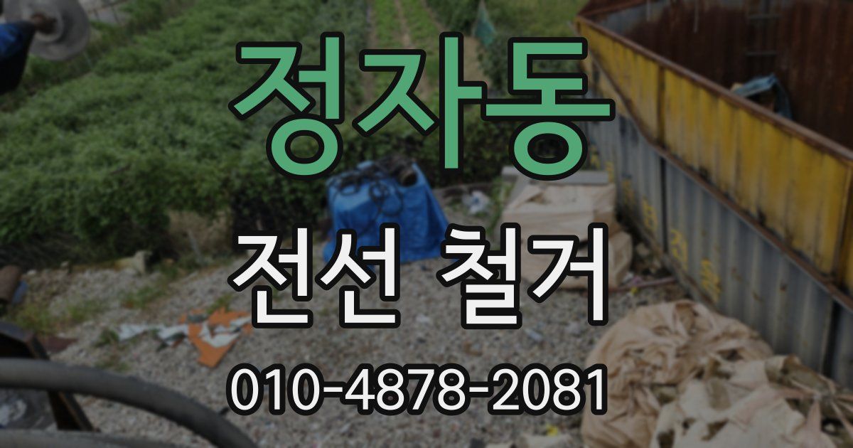 정자동 전선 철거