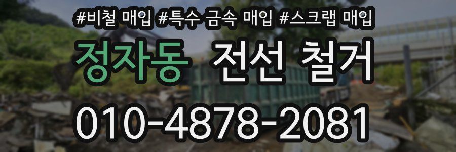 정자동 전선 철거