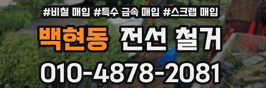 백현동 전선 철거