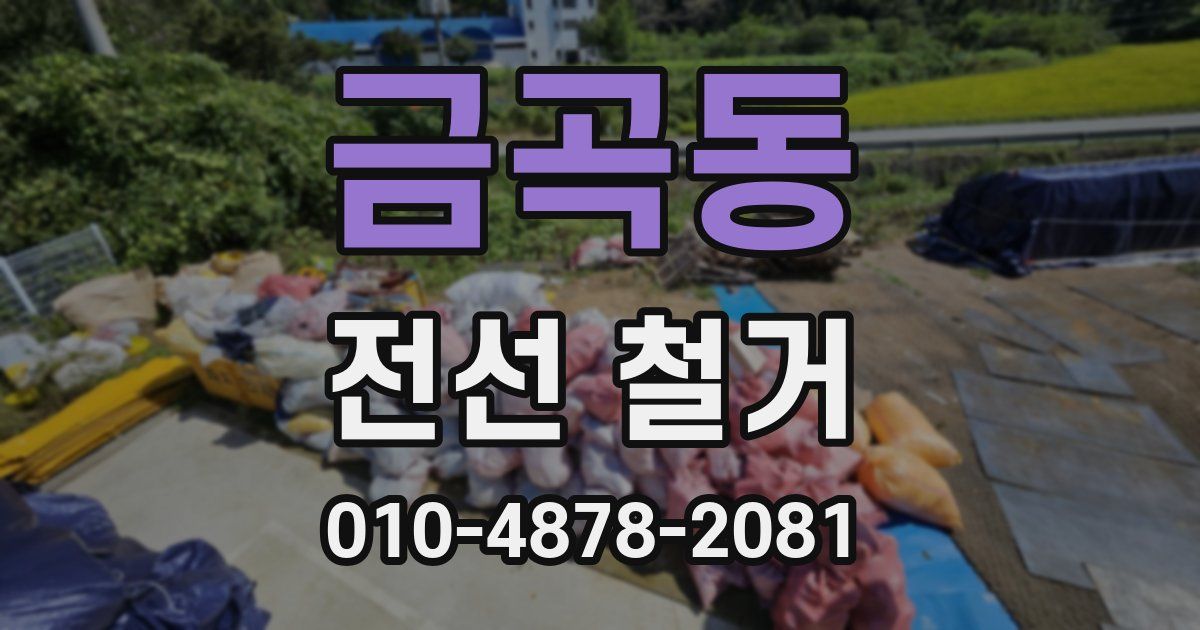 금곡동 전선 철거