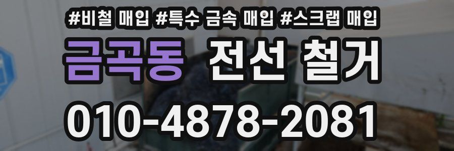 금곡동 전선 철거