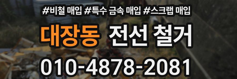 대장동 전선 철거