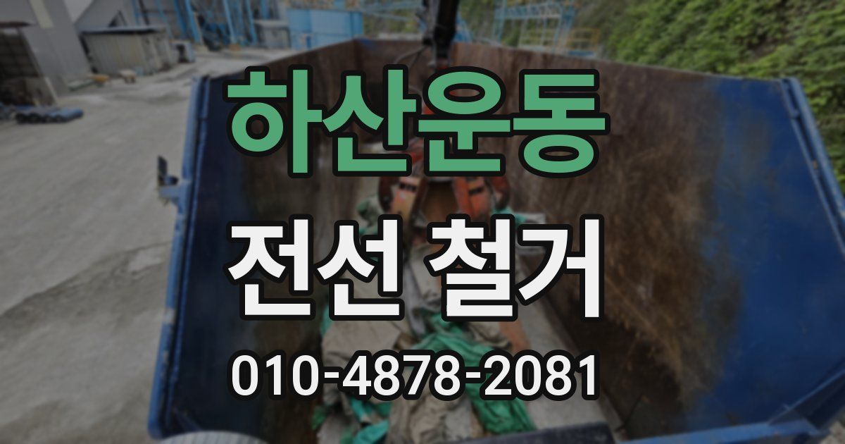 하산운동 전선 철거