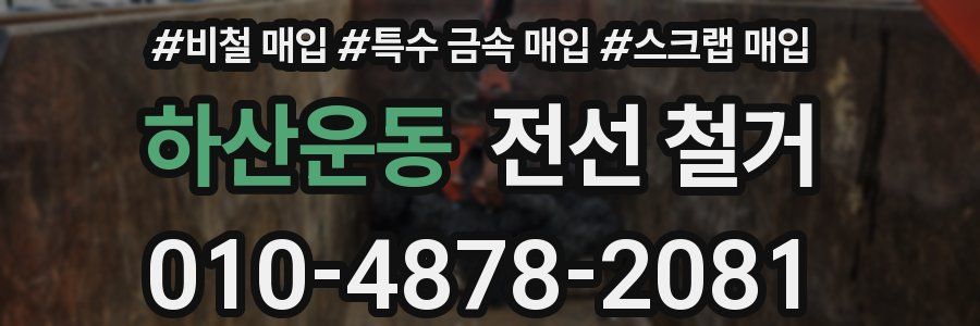 하산운동 전선 철거