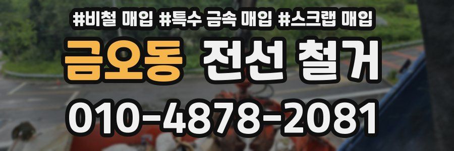 금오동 전선 철거