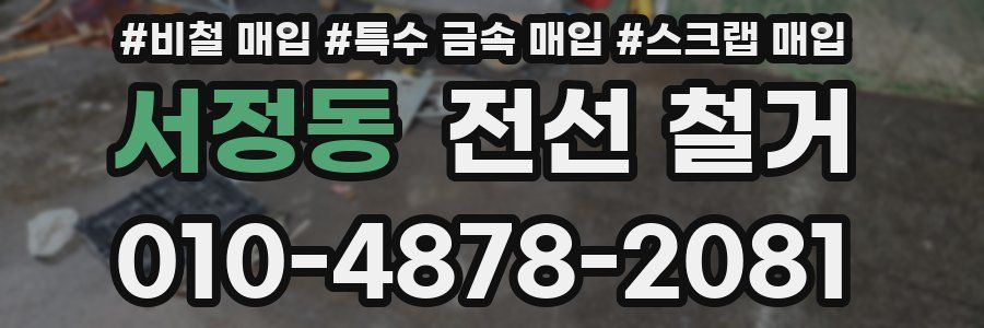 서정동 전선 철거