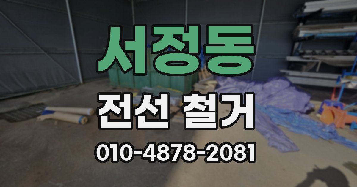 서정동 전선 철거
