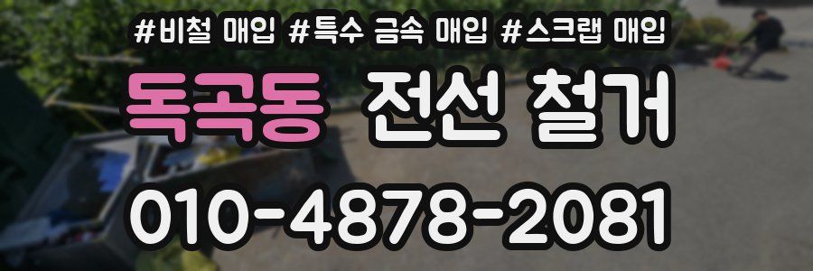 독곡동 전선 철거