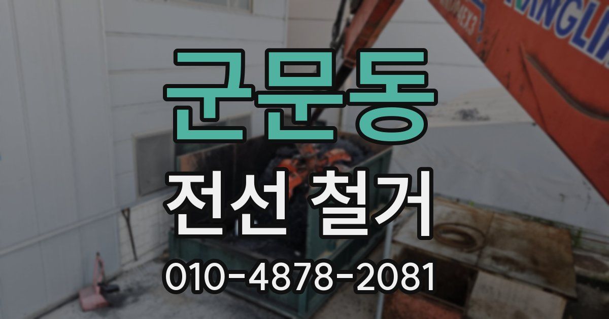 군문동 전선 철거