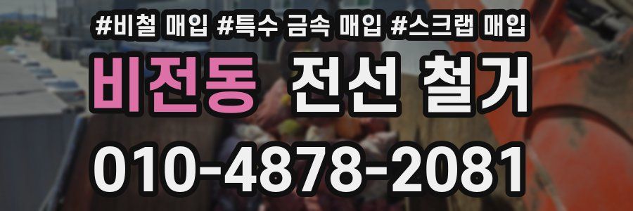 비전동 전선 철거