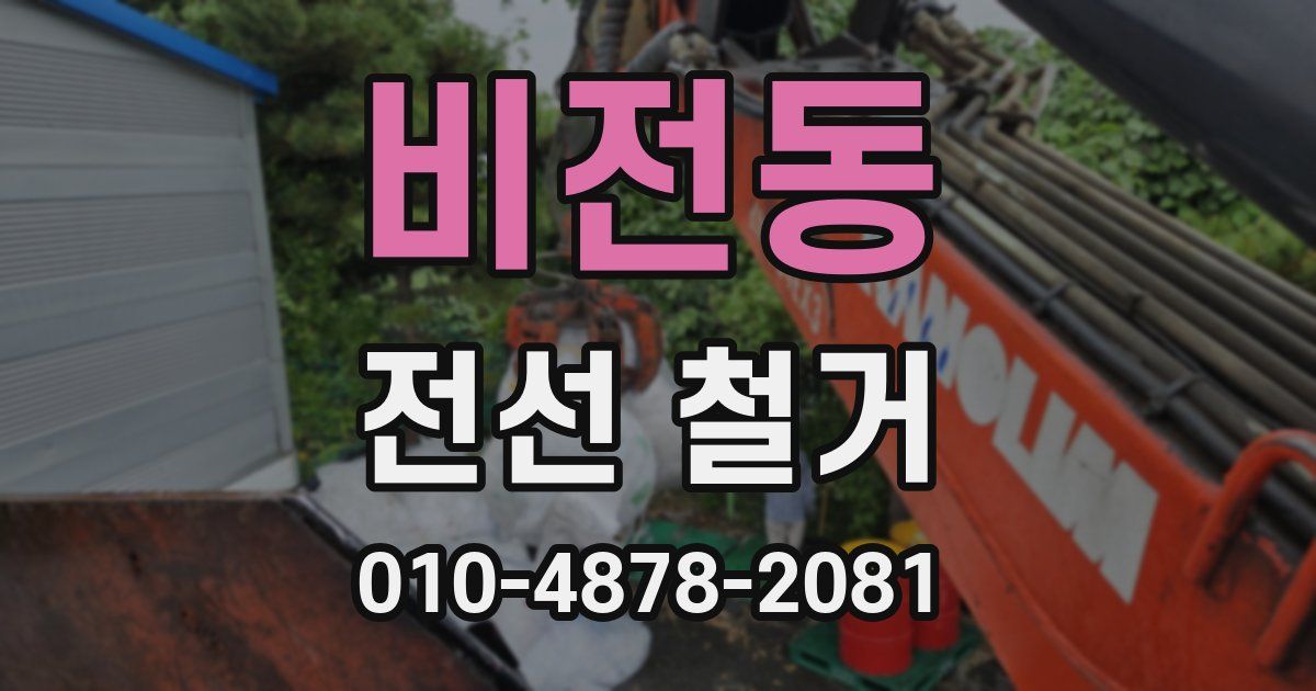 비전동 전선 철거