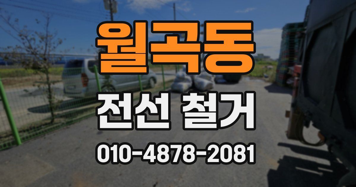 월곡동 전선 철거