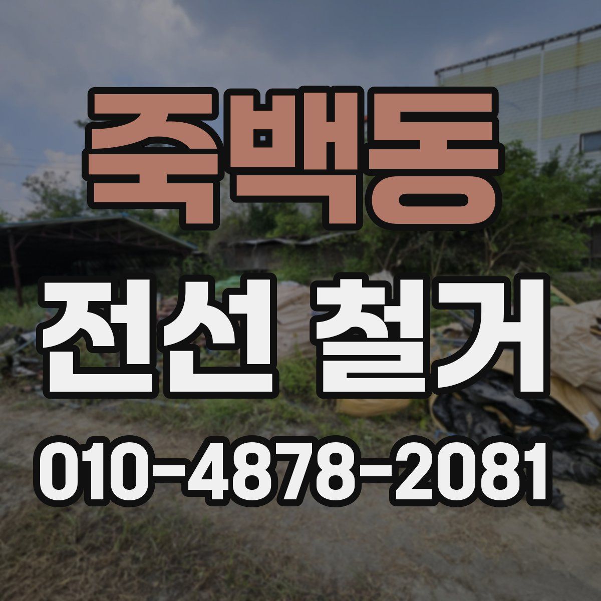 죽백동 전선 철거