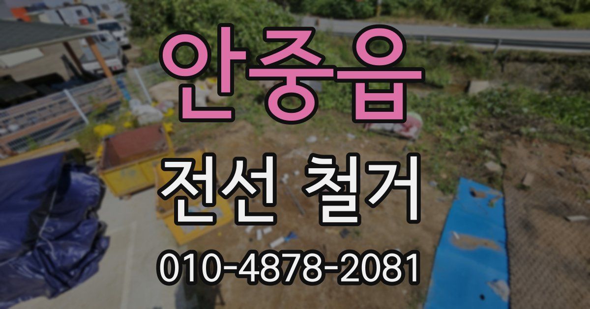 안중읍 전선 철거