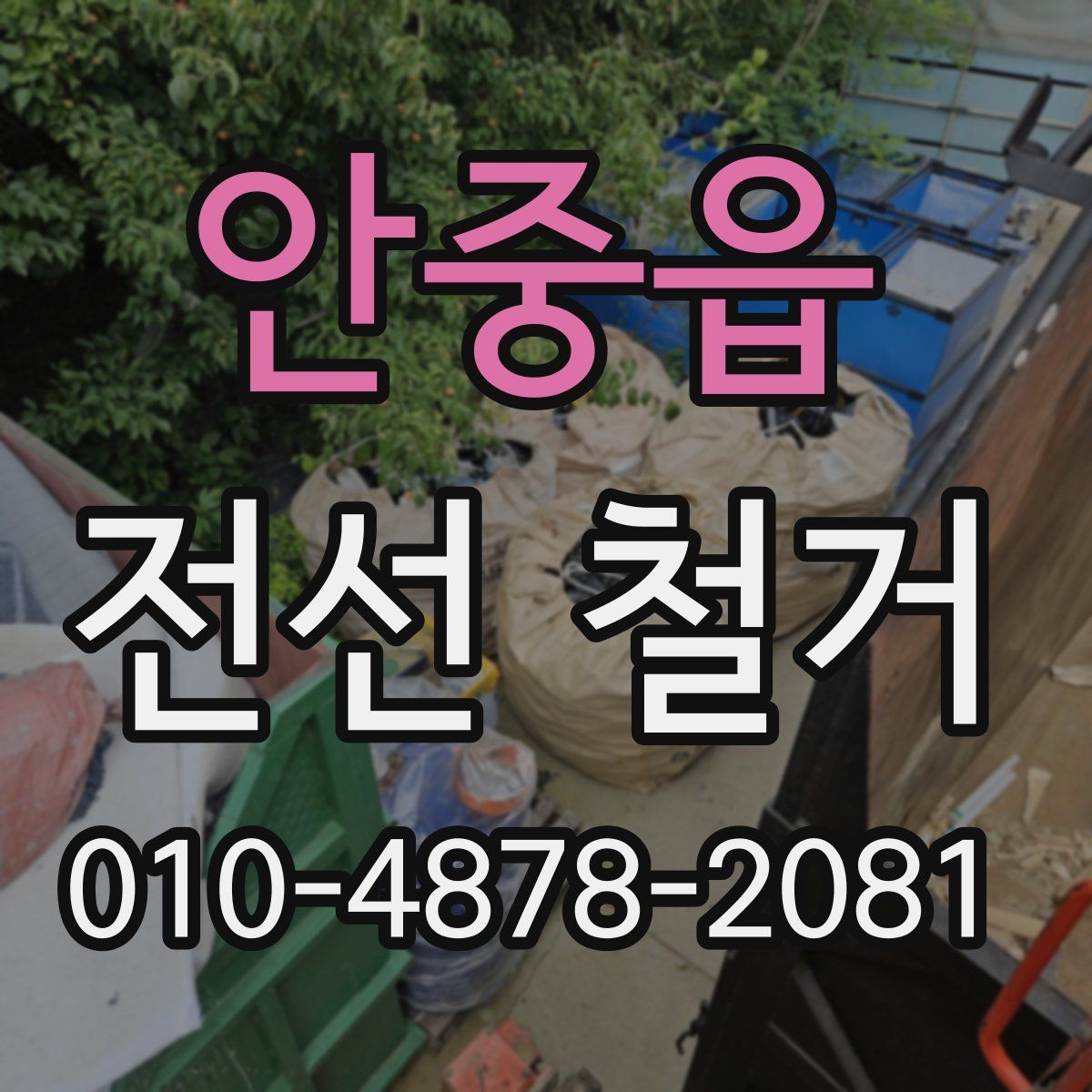 안중읍 전선 철거