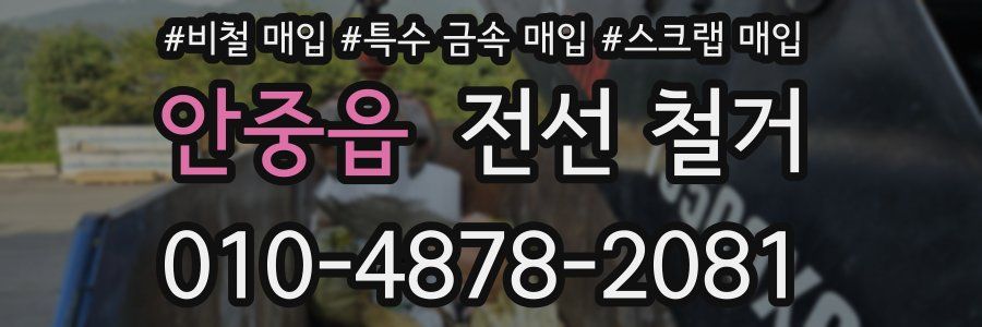 안중읍 전선 철거