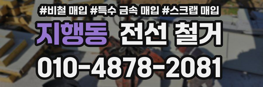 지행동 전선 철거