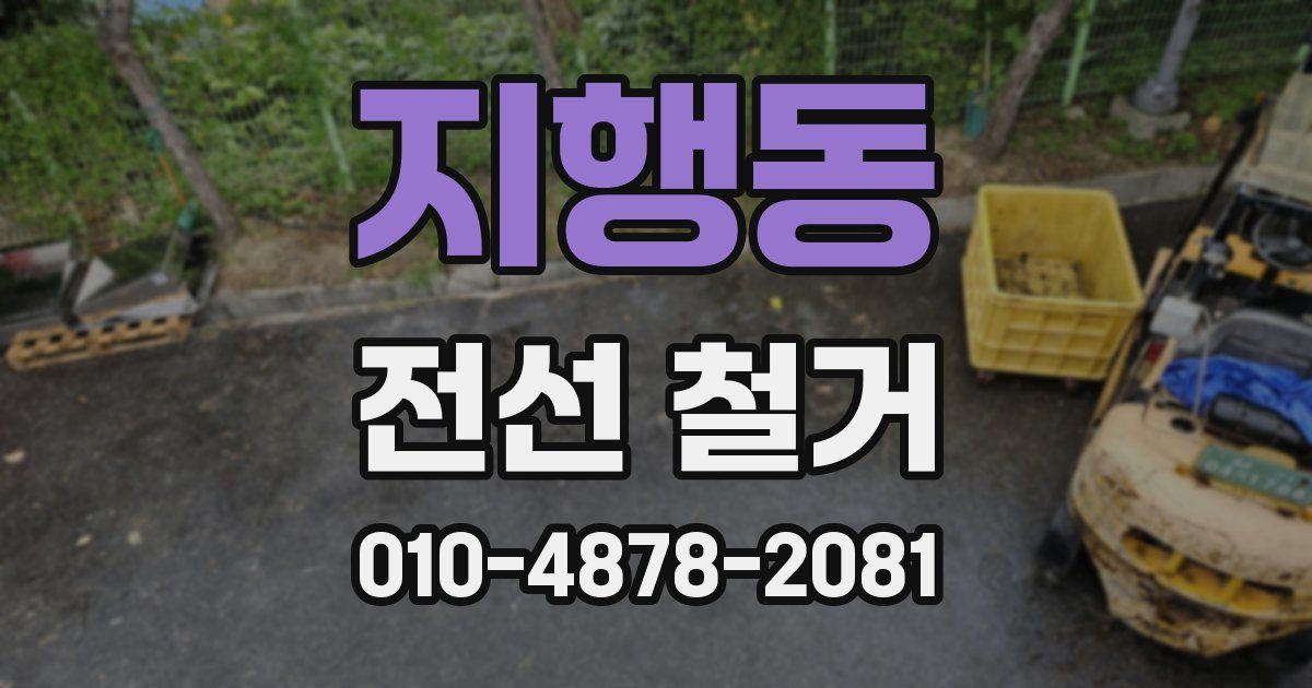지행동 전선 철거