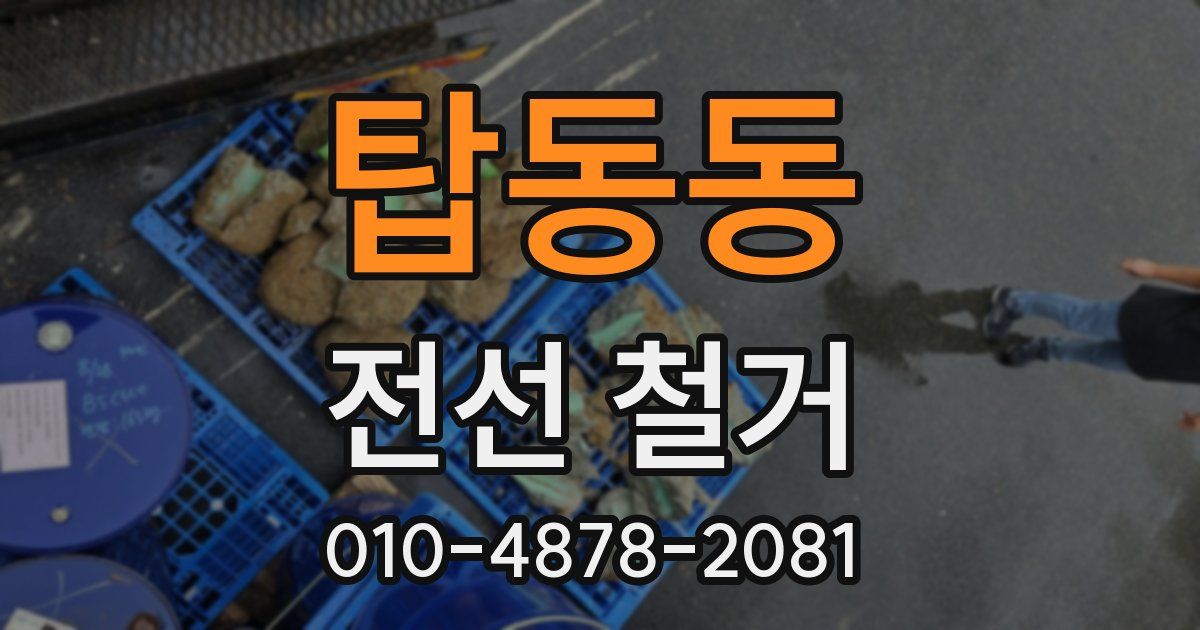 탑동동 전선 철거