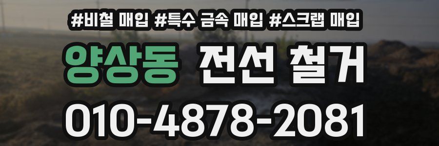 양상동 전선 철거