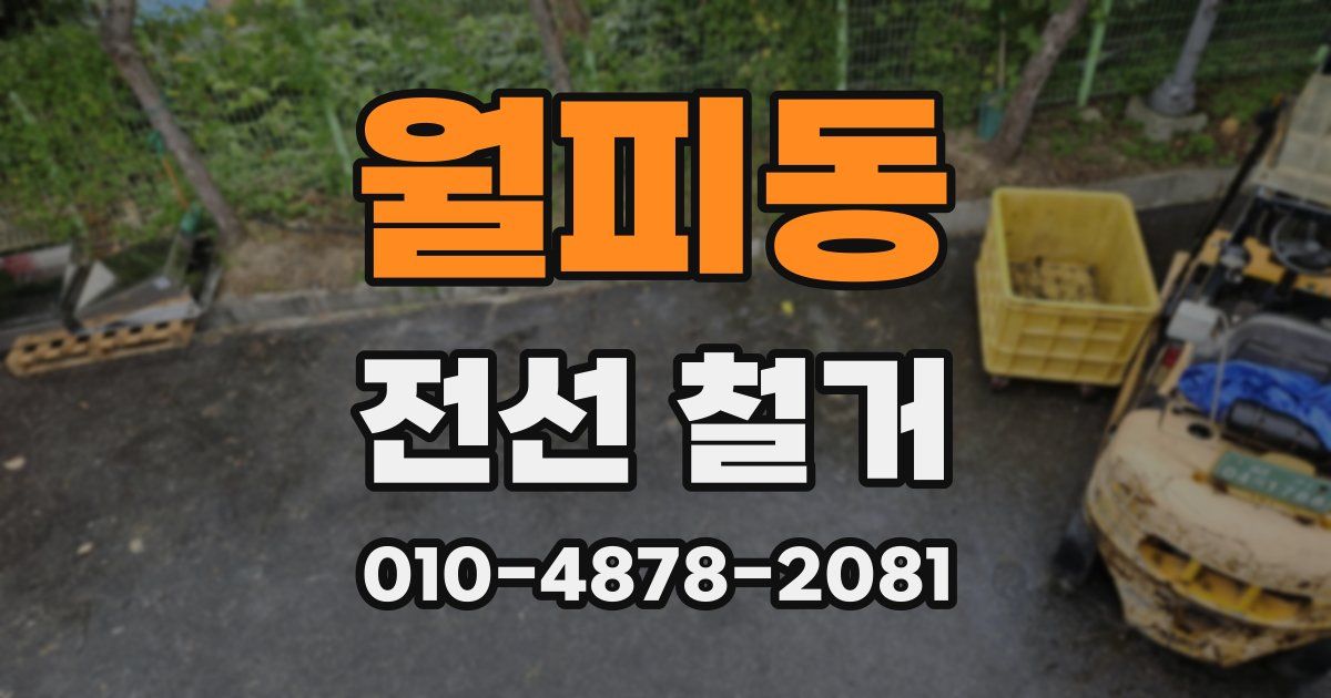 월피동 전선 철거