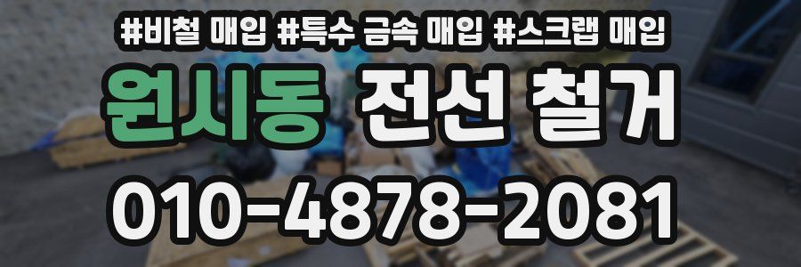원시동 전선 철거