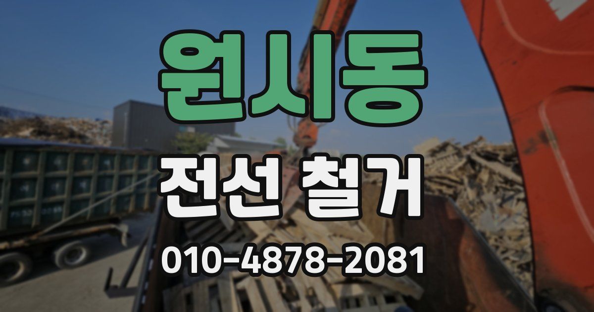원시동 전선 철거