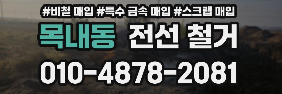 목내동 전선 철거