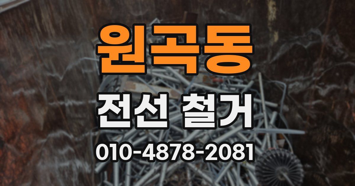 원곡동 전선 철거