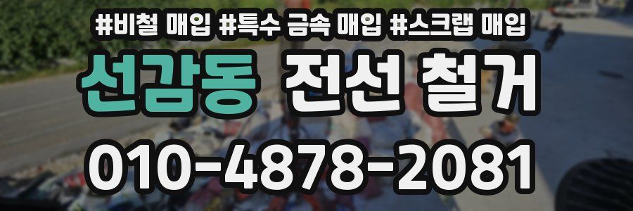 선감동 전선 철거