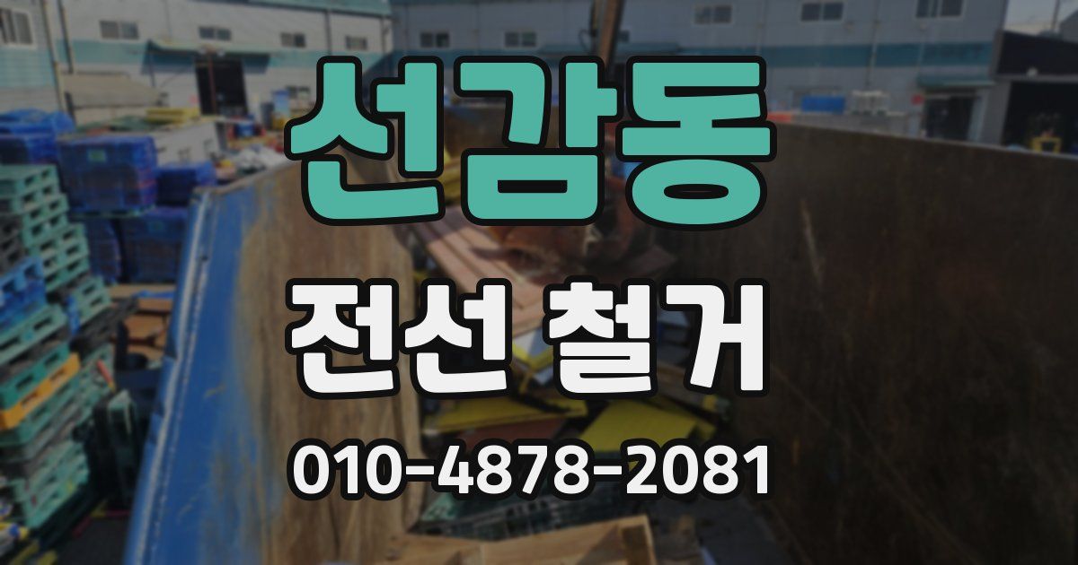 선감동 전선 철거