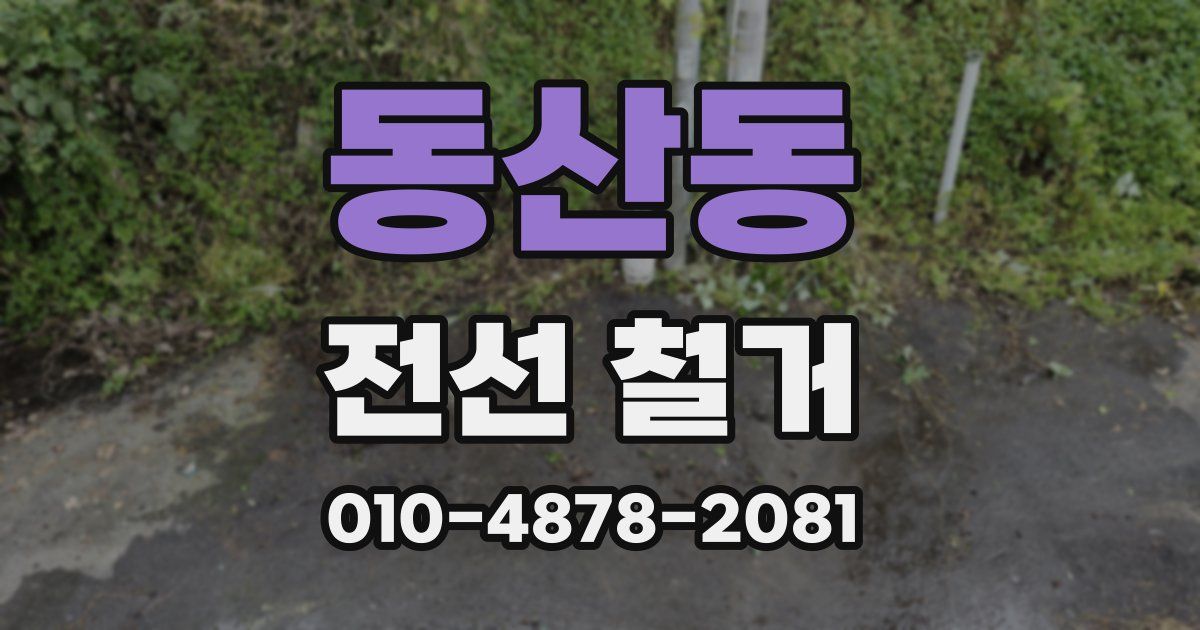 동산동 전선 철거