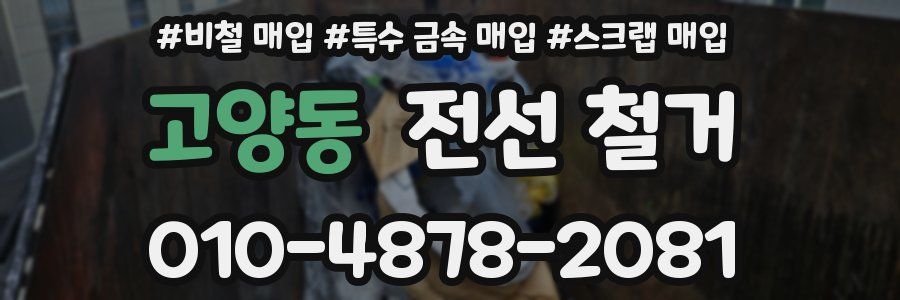 고양동 전선 철거