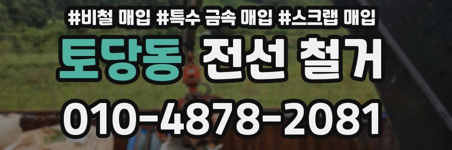 토당동 전선 철거