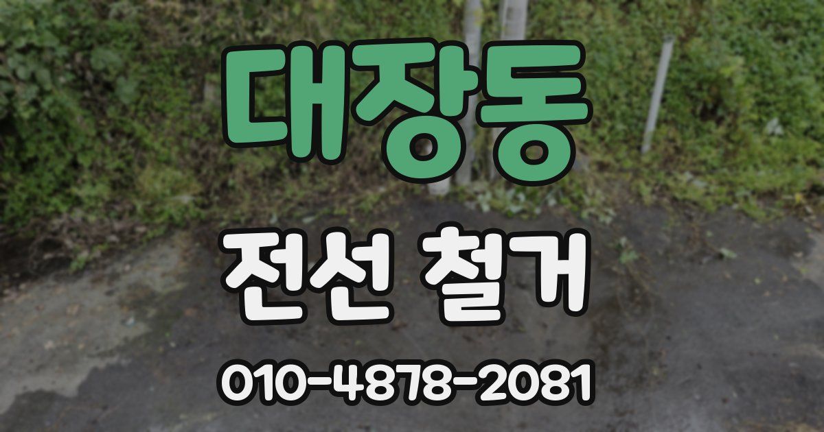대장동 전선 철거