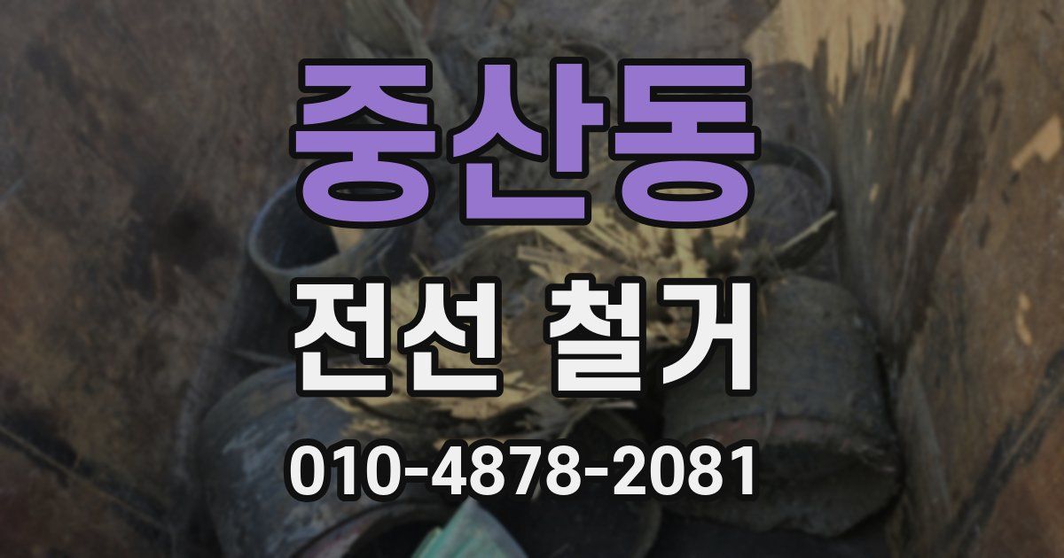 중산동 전선 철거