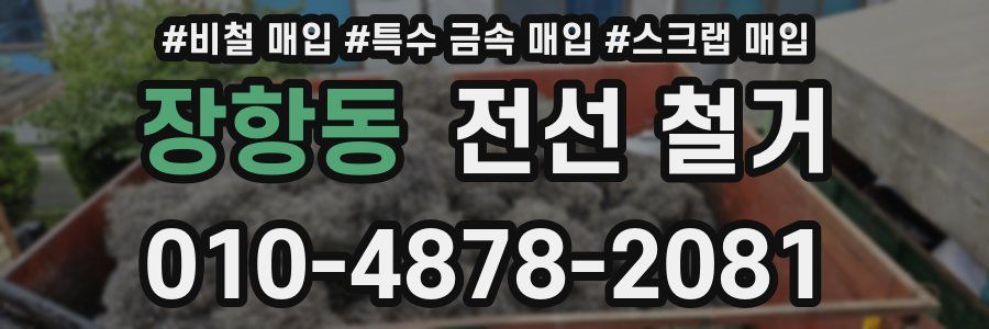 장항동 전선 철거