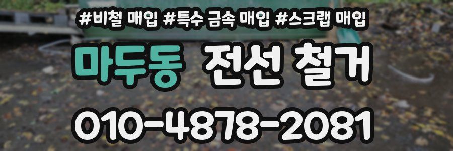 마두동 전선 철거