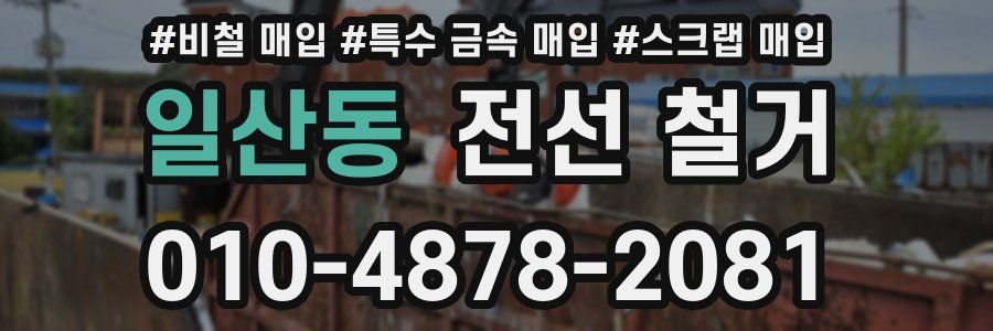 일산동 전선 철거