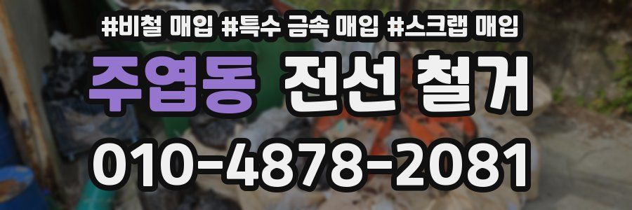 주엽동 전선 철거