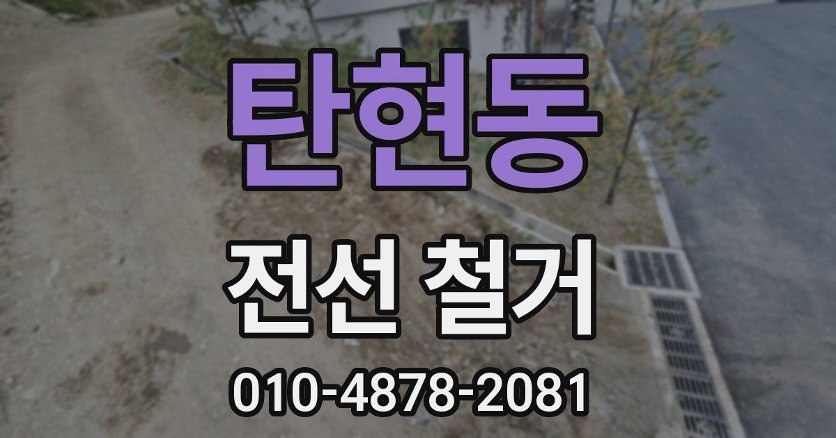 탄현동 전선 철거
