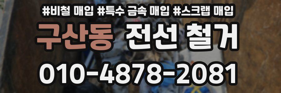 구산동 전선 철거