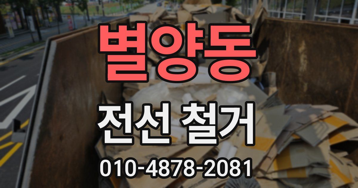 별양동 전선 철거