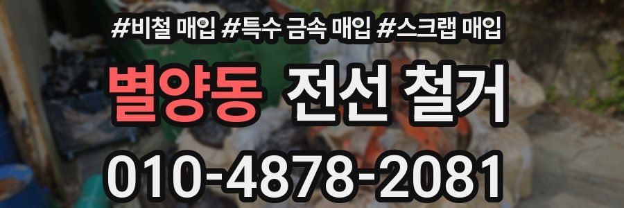 별양동 전선 철거