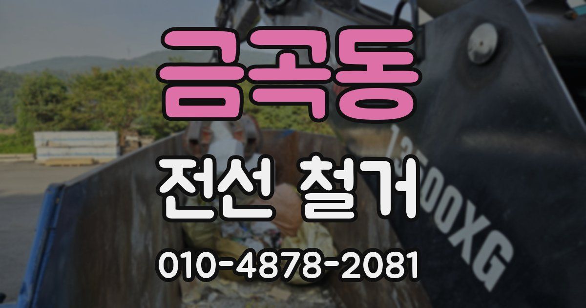 금곡동 전선 철거