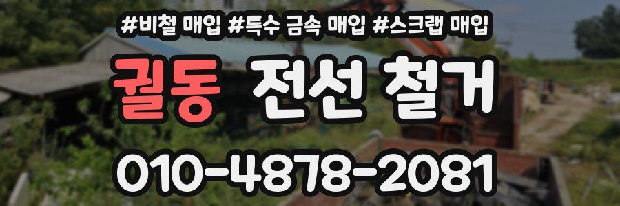궐동 전선 철거