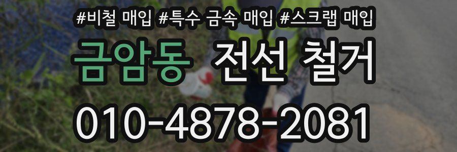금암동 전선 철거