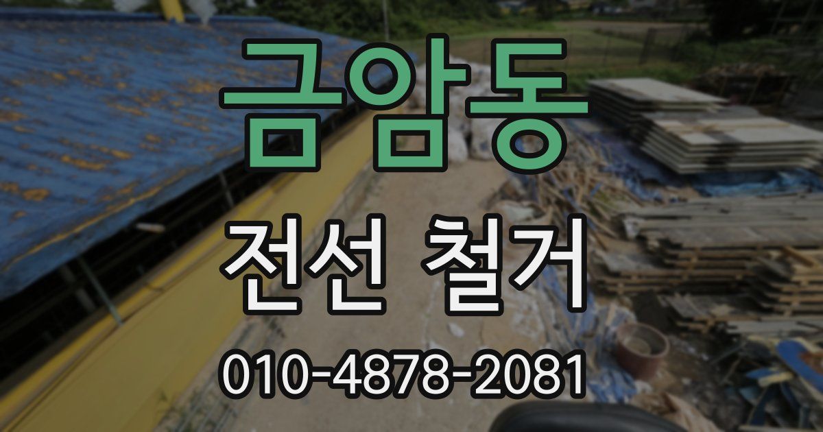 금암동 전선 철거