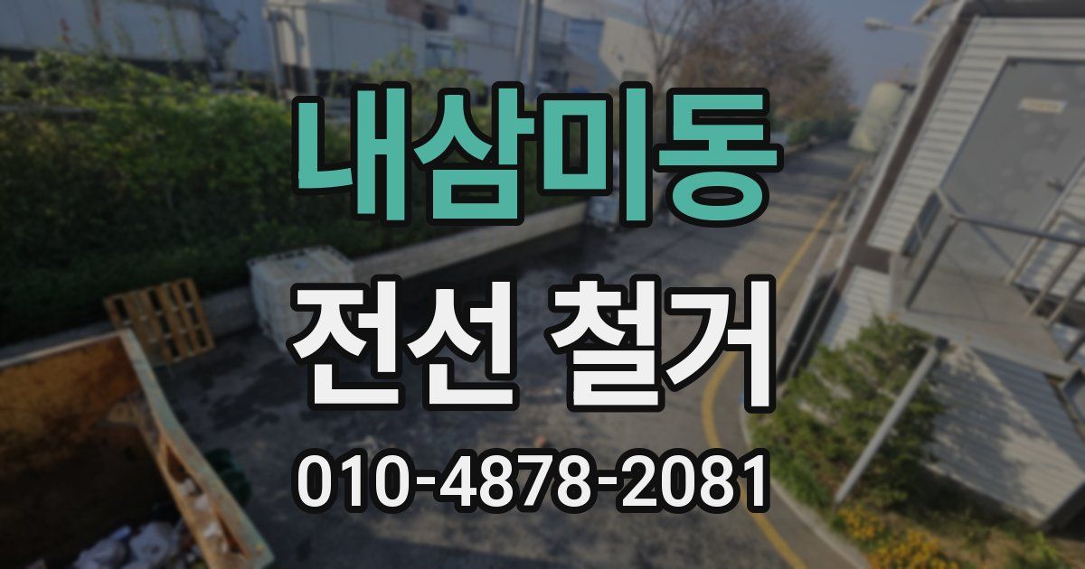 내삼미동 전선 철거